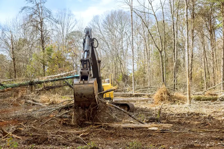 A yellow excavator moves downed trees and sticks.